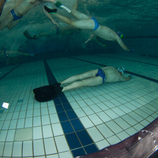 Argonauta-156e70442d79175f46