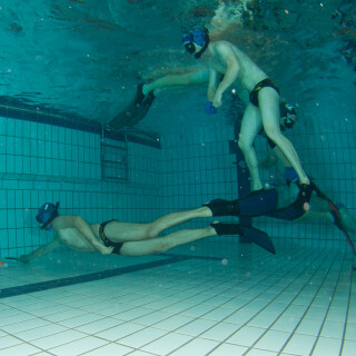 Argonauta-162635c299c4f7519d