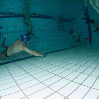 Argonauta-1751de045ca4bc560c