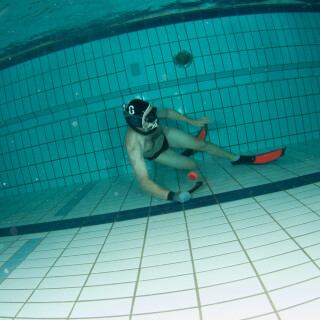 Argonauta-18a12d3f236e84e2d3