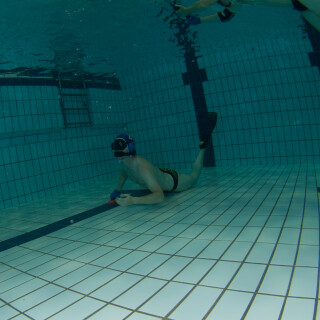 Argonauta-191853ca9fbc79b606