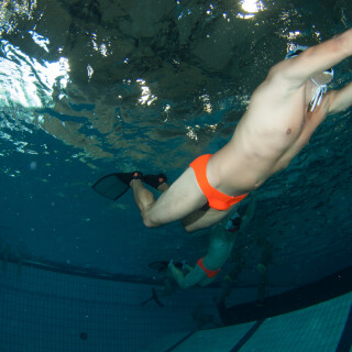 Argonauta-20572ca622089074d8