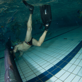 Argonauta-26a96a1b4436722f7b