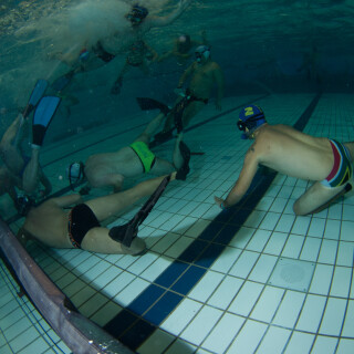 Argonauta-27c656d8489b305342