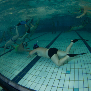 Argonauta-30d1d654422de81ed0