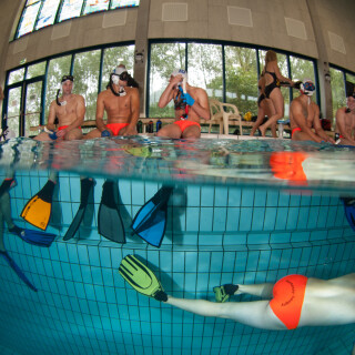 Argonauta-3130b4555f18e35c2b