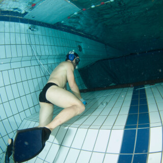 Argonauta-35452827201afa512c