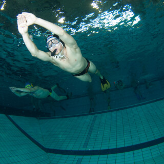 Argonauta-408d398dc2d52e1e1c