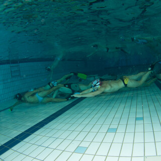 Argonauta-40a9961d41c2dc7c7