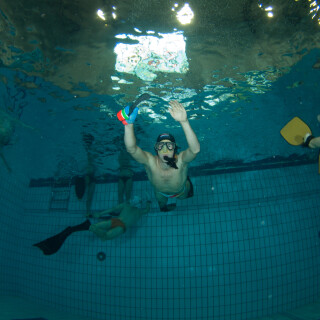 Argonauta-4103e765c166ea2942