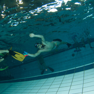 Argonauta-43fdd8d81d6bd9a440