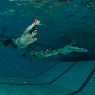 Argonauta-44d9cc25e863cd35b6