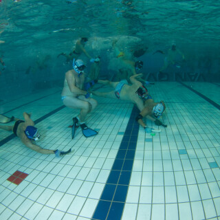 Argonauta-545d40eb03e1c51463