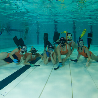 Argonauta-59ab72acf0c7ffbdd4