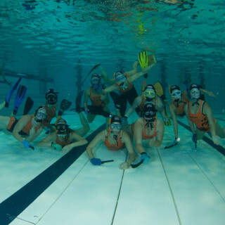 Argonauta-63f5ccf3f7e83ce700