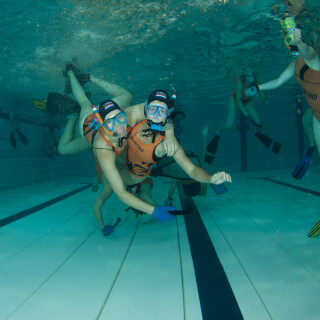 Argonauta-70073f0fe4bf91064f