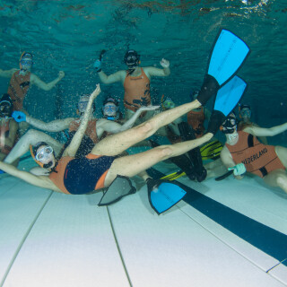 Argonauta-74276b9cd1ce5870f5