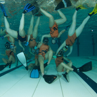 Argonauta-7758f716437137514d