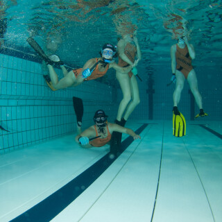 Argonauta-803a5409319e235838