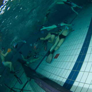 Argonauta-81cf51ade1ad31b218