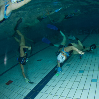 Argonauta-82e09353bb09c82803