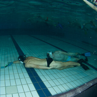 Argonauta-82f85039aa57f5bf9