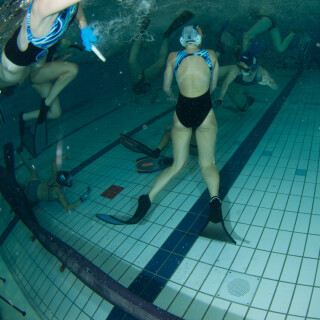 Argonauta-8431d04b5b9d3c7c76