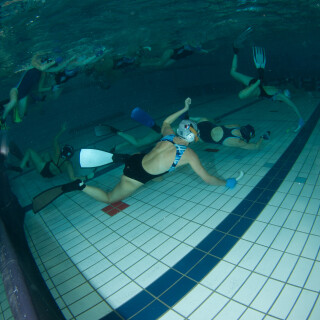 Argonauta-85493dde3040f5e117