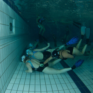 Argonauta-87ede45754fce6d24e