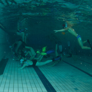 Argonauta-88e9bd7b22935c5407