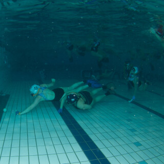 Argonauta-899ee37df3c75b84e3