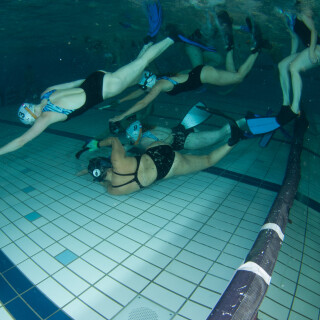 Argonauta-90573c5164cbc8253c